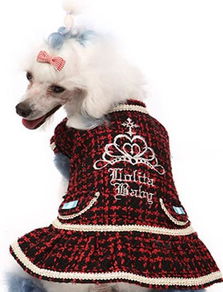 批發(fā)供應(yīng)寵物食品 消化潔齒骨，1包起批，廠家直供，帶圖片詳情